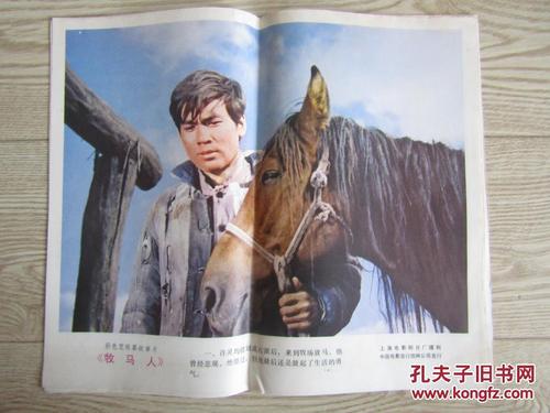 大专有没有学位证编号